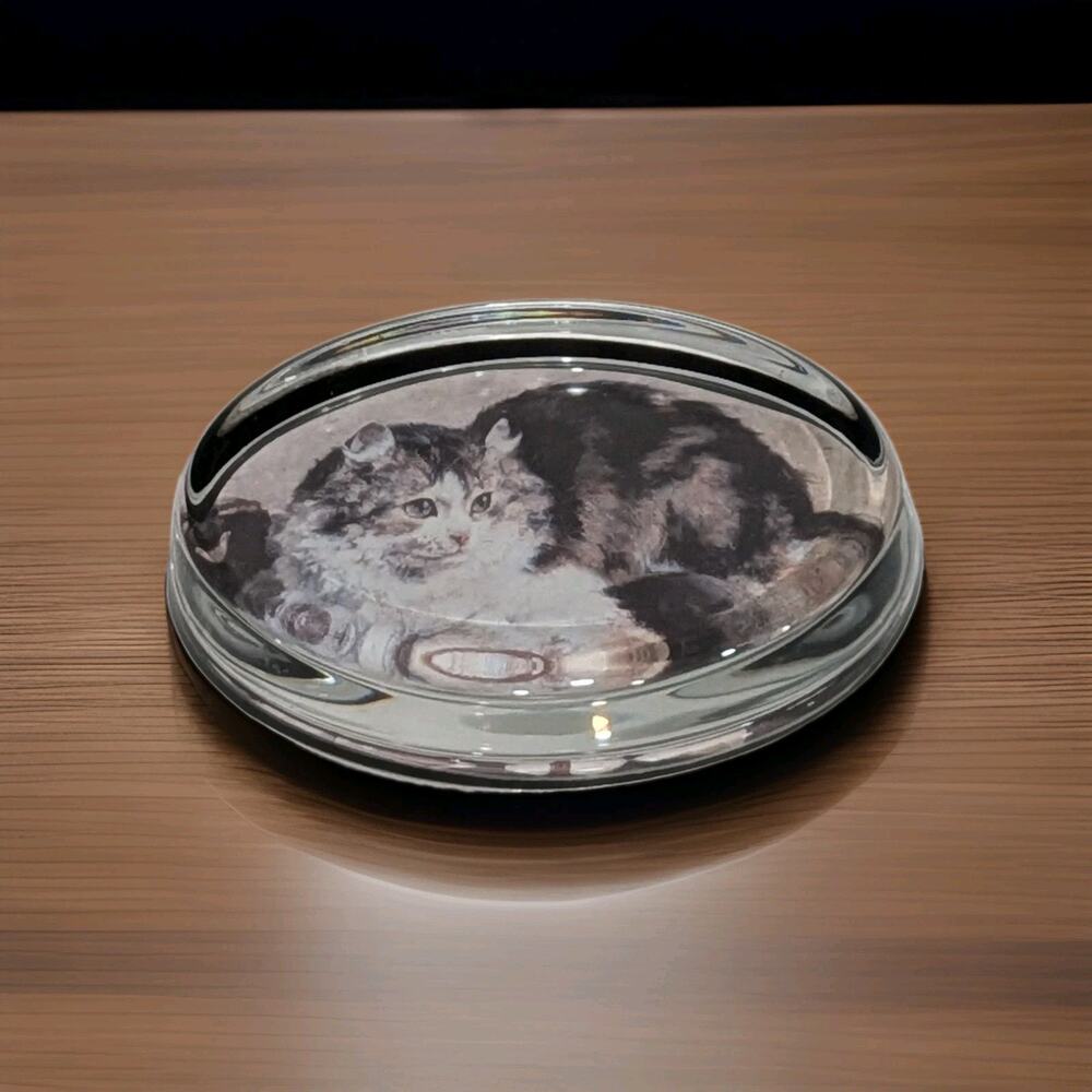 Vintage Glass Paperweight Long Haired Tabby Cat Vivant England The Parson's